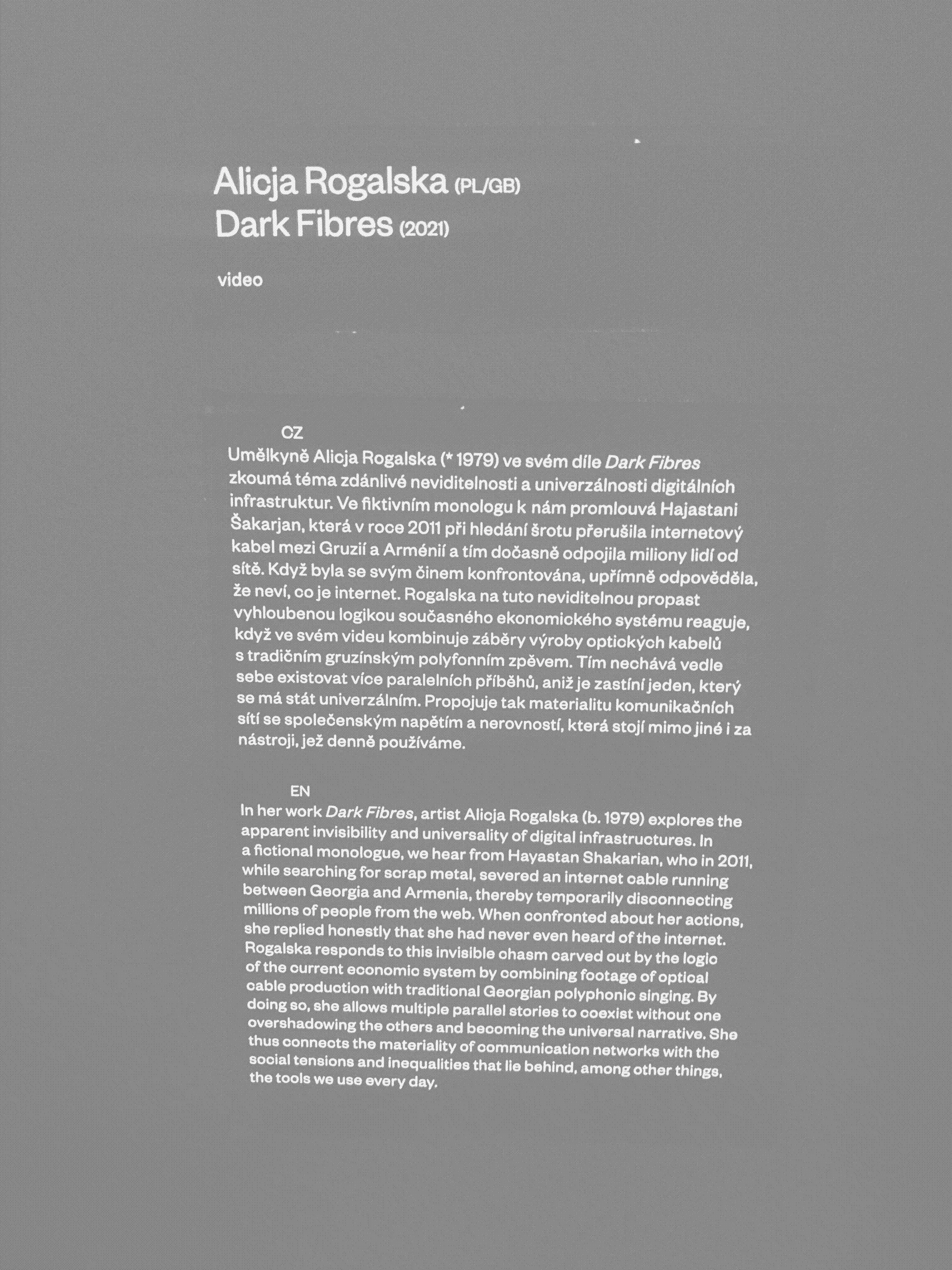 Wall text for Alicja Rogalska’s Dark Fibres video, the one work I enjoyed at the Dox museum