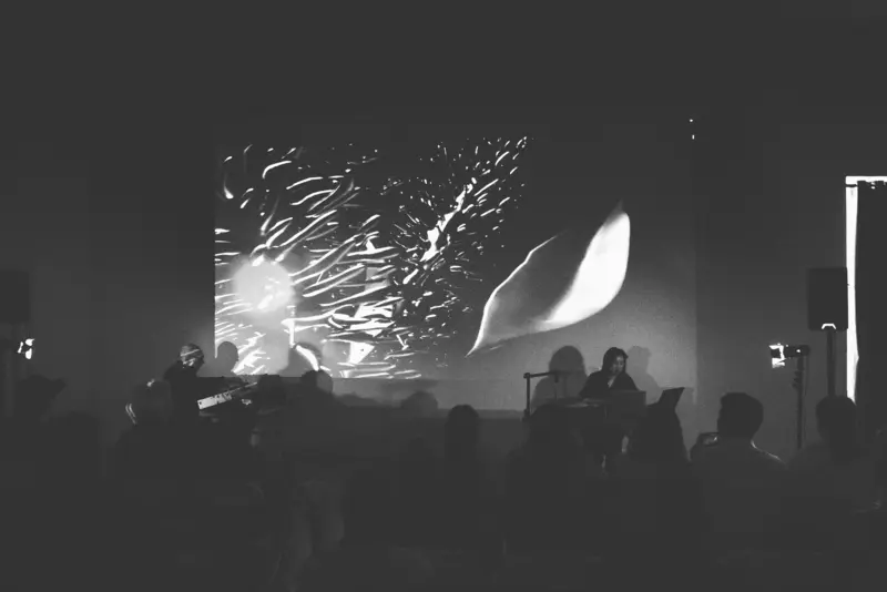 projection of digital plant with musician and narrator in front